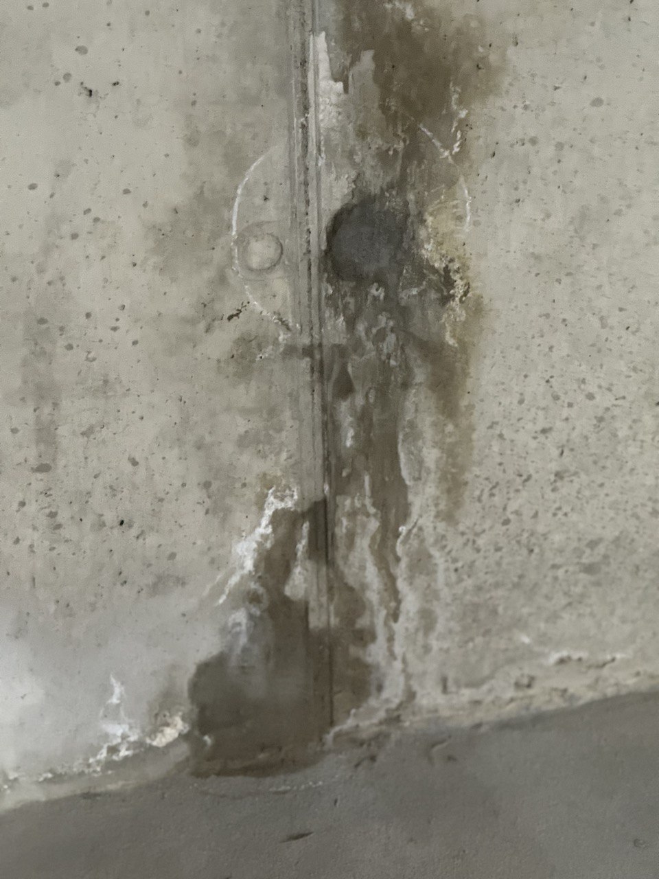 ინექცია 1